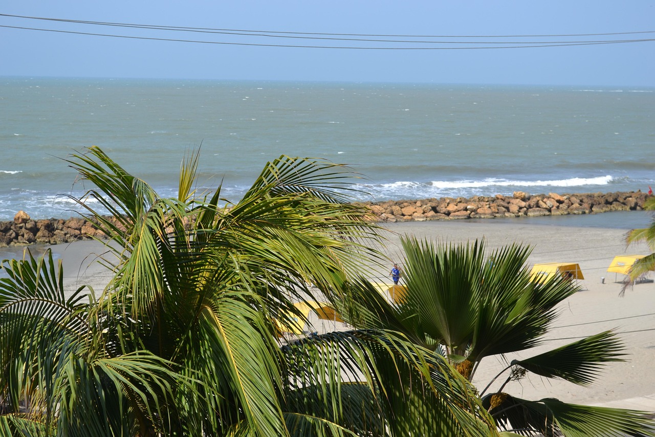 拉沙热最新动态与进展研究综述