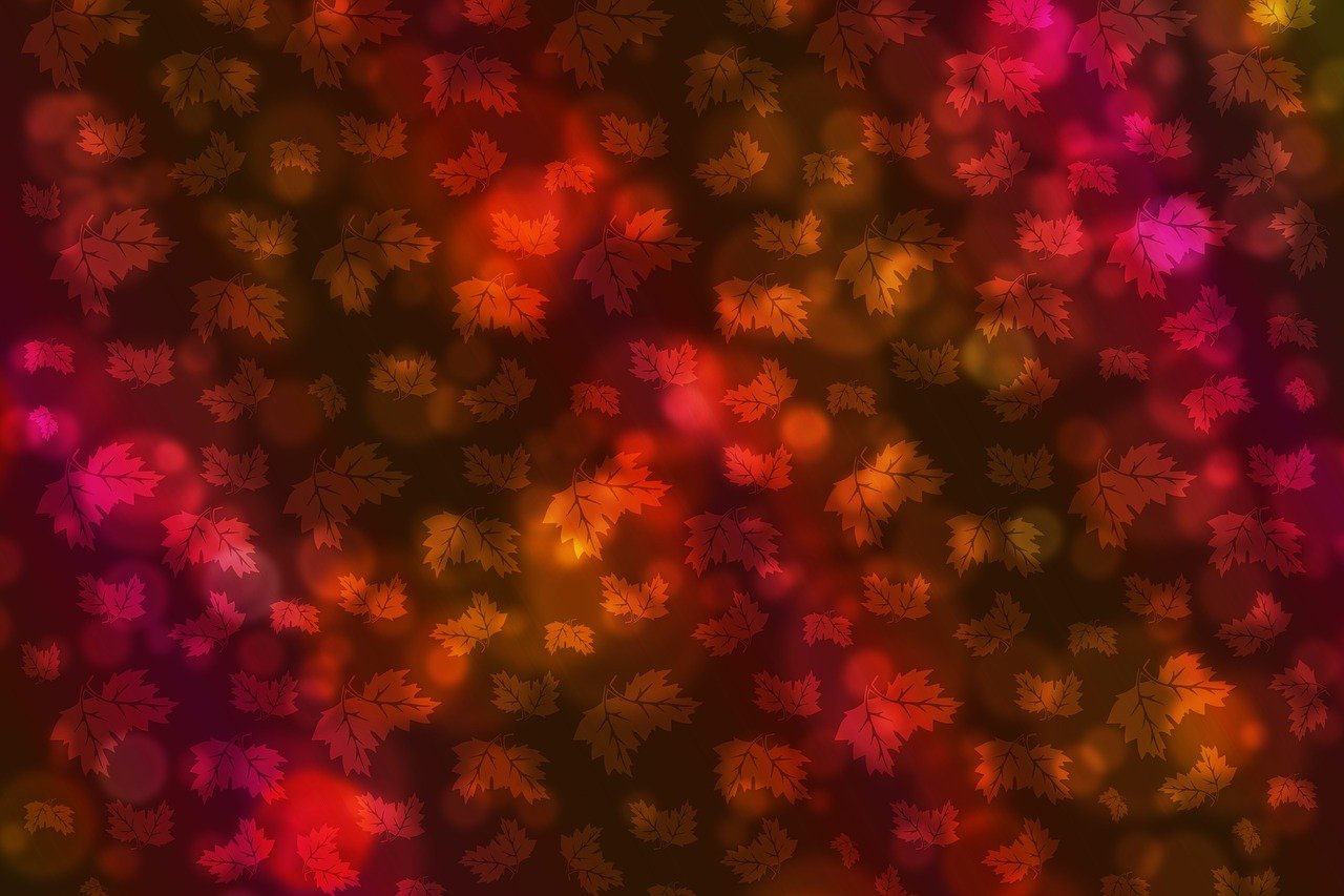 杨玉菊,闪耀的光芒与瞩目成就的最新篇章