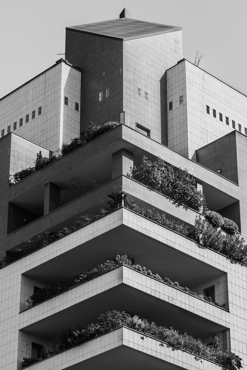 深圳统建楼最新动态,发展、变化与挑战