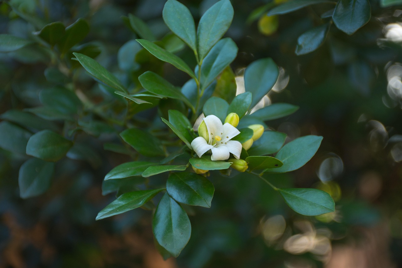 祝桥最新疫情动态与防控措施更新报告