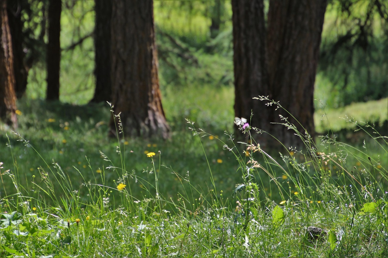平常心最新,面对生活的智慧与态度之道