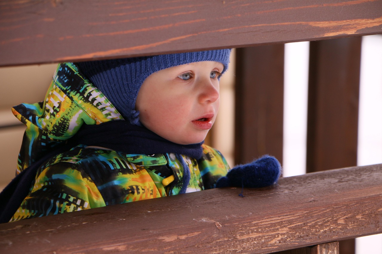 探索与反思,禁漫堂的最新动态与资讯更新