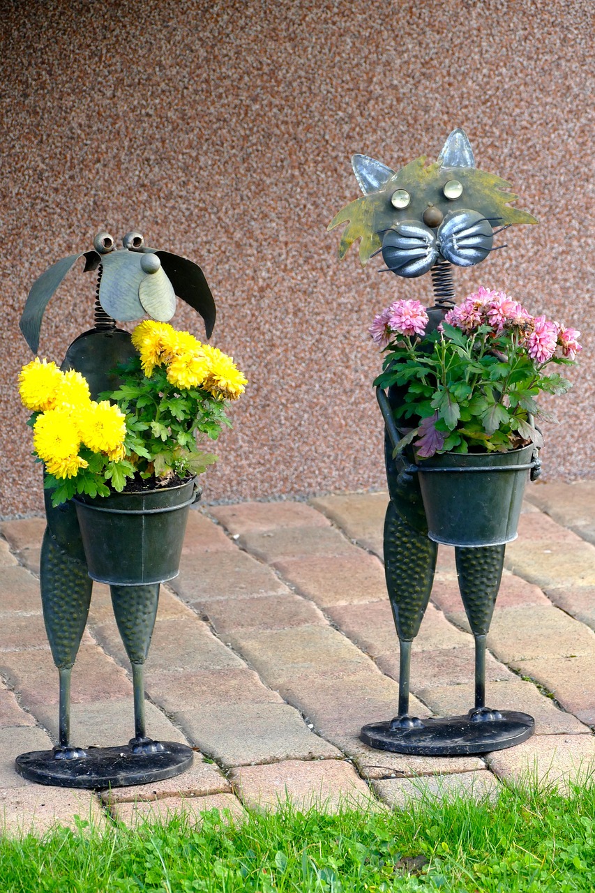 合欢花最新绽放,美丽与独特魅力的展现