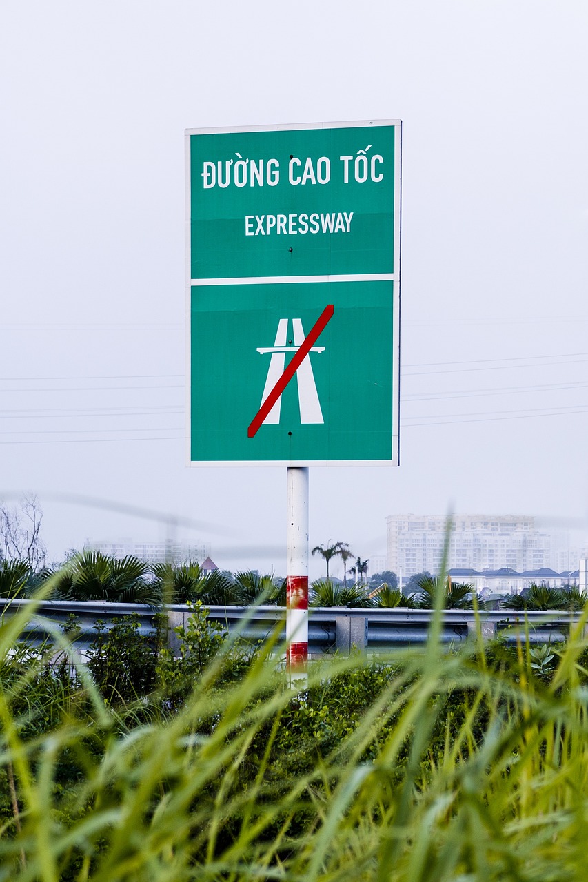 温州最新日报,城市脉搏与新闻动态速递