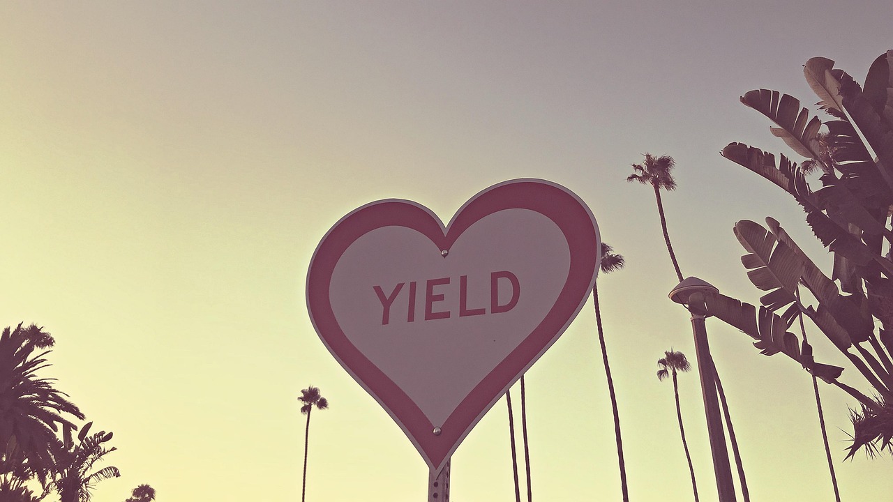 得弟爱最新,深厚情感与独特价值体验的独特魅力